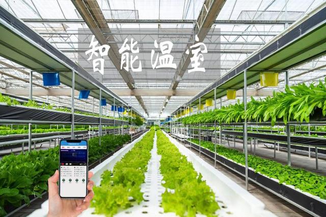 農業物聯網賦能傳統大棚升級，手機管控溫濕度引領智能農業新時代